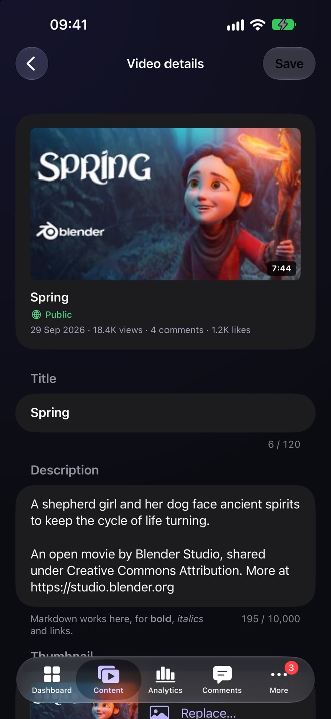 Editing Spring: its thumbnail, visibility, title and description.